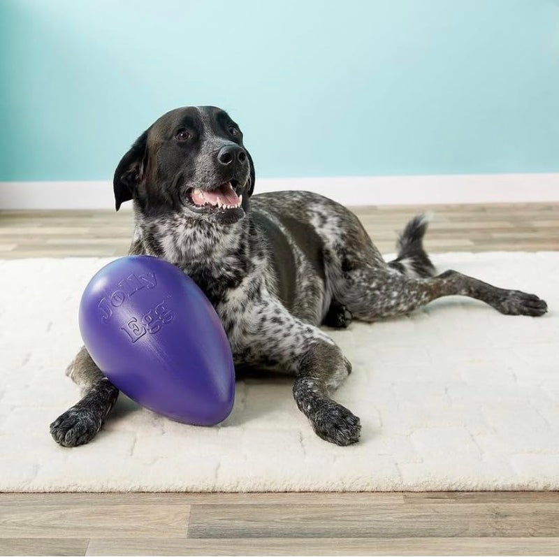 Jolly Pets Jolly Egg Dog Toy, 8 Inches/Medium, Red (JE08 RD) - Image 5